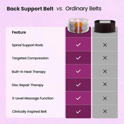 Back Support Belt